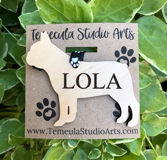 French Bulldog Dog Pup Puppy Pointed Ears Pet Personalized Name