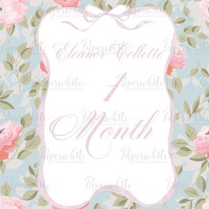 Mijlpaalkaarten babymeisjes roze tuinrozen