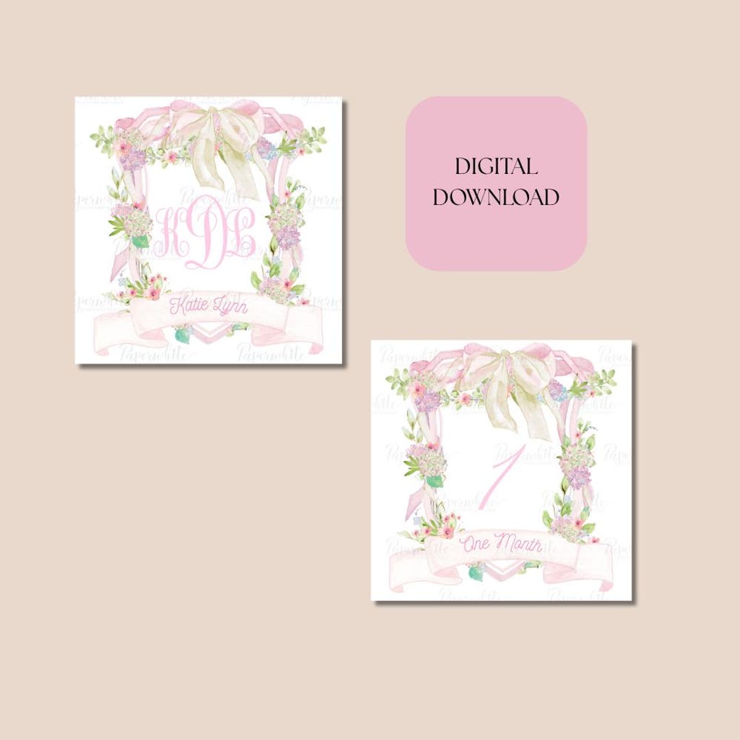 Baby Pink Milestone Cards Watercolor Crest With Stork - Etsy