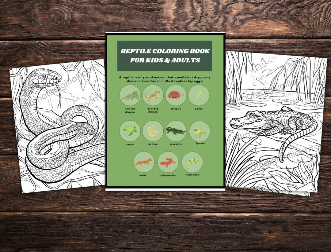 Reptile Coloring Book for Kids & Adults, Coloring Book, Reptiles ...