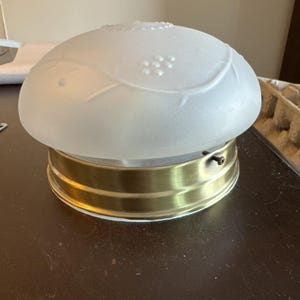 May include: A frosted glass light fixture with a decorative leaf and berry design. The fixture sits on a brass-colored metal base. The glass dome is a soft white color.
