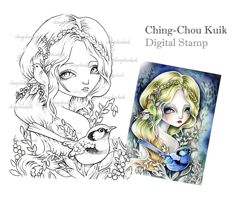 Fairy Wren  Digital Stamp Instant Download / Art by image 0