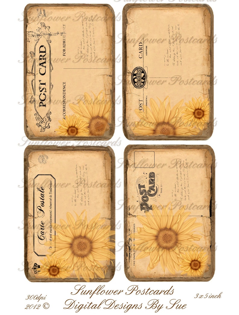 Sunflower Postcards 3x5 Printable Digital Collage Sheet | Etsy
