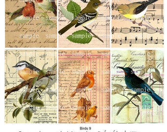 Birds 9 -  2.5 x 3.5  - ACEO -  Printable Digital Collage Sheet - Digital Download
