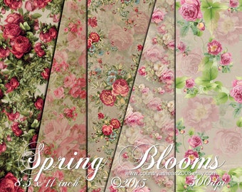 Spring Blooms Paper Pack- Gorgeous Paper Set - Printable Digital Collage Sheets -Download -  Crafts, Digital Paper - Scrapbook paper