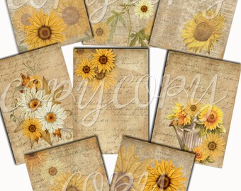 Instant Download    Sunflowers and Daisys -  Printable Digital Collage Sheet