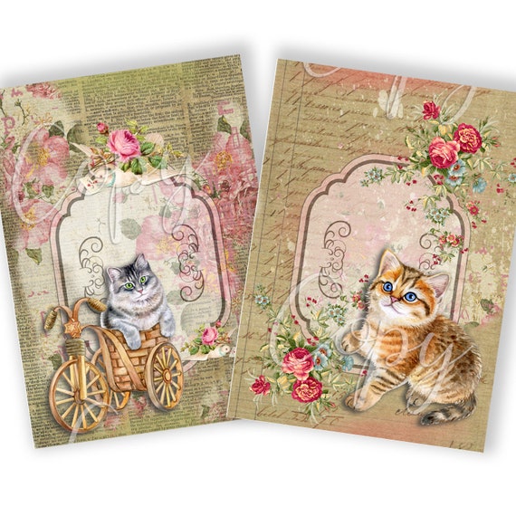 Cats Kitten Printable X Inches Printable Digital