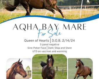 Modern Professional Horse Breeding Sales Flyer Template