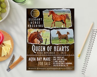 Professional Vintage Western Horse Breeding Sales Flyer Template