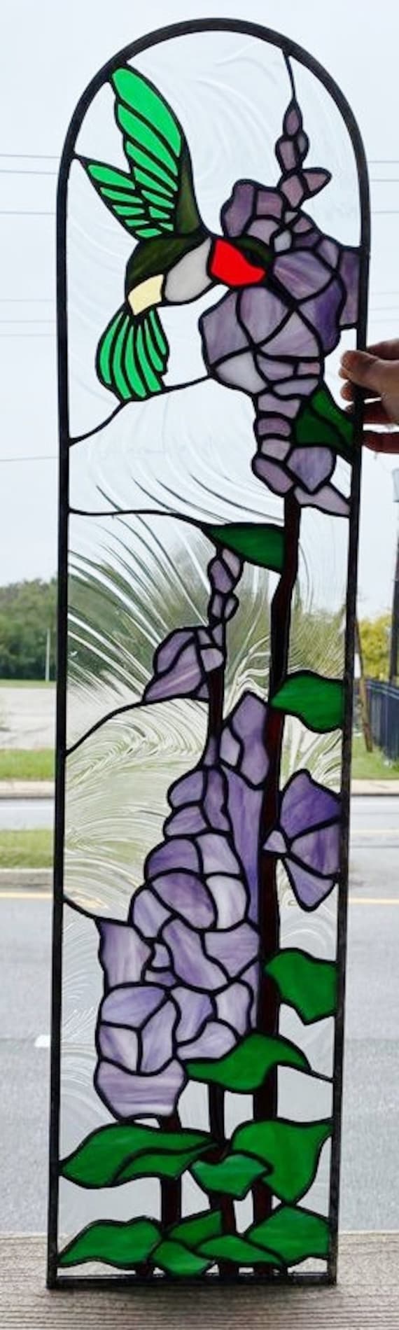 Nature's Jewels: Hummingbird & Floral Morning Glory Vines and
