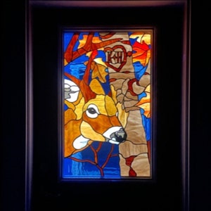 Stained Glass Door Panels - D-61