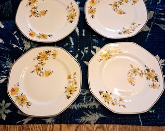 Homer Laughlin 7" Salad/ Dessert plates, Medieval Rose Pattern, Set Of 4