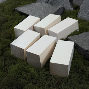 Set of 6 Basswood Blocks for Carving. Wood Blanks 10x5x5 cm. Soft Linden Wood for Whittling, Crafts and DIY Woodworking