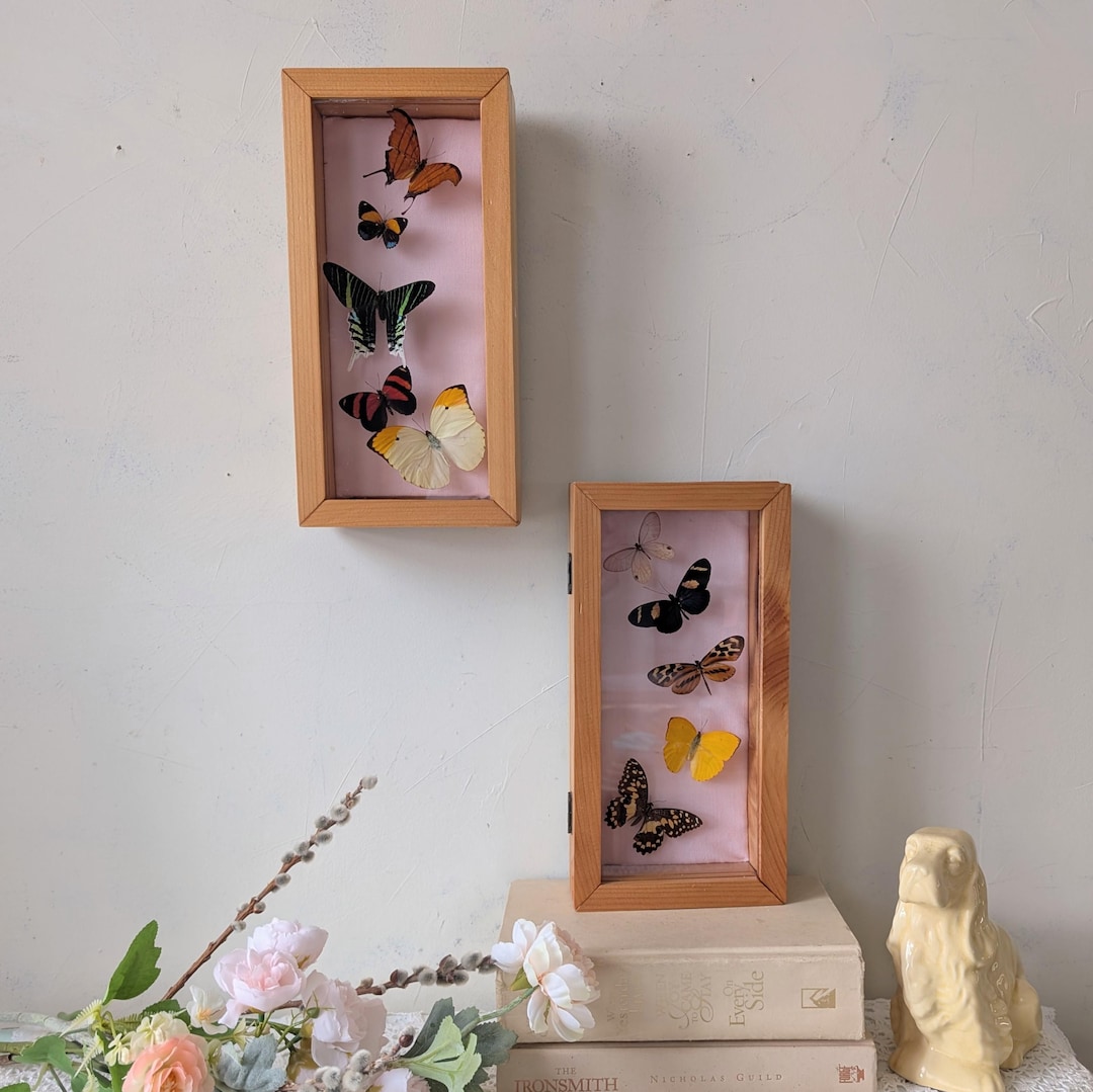 Vintage Wooden Butterfly Shadowbox Set of 2 Pretty Spring Wall Decor - Etsy