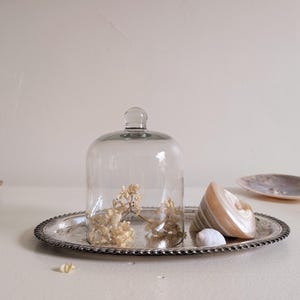 May include: A clear glass cloche with a round knob sits on a silver-colored, beaded-edge tray. Inside the cloche are dried, beige flowers. A large, striped seashell and a small white stone are also on the tray.
