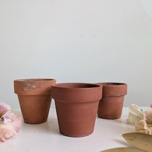 Peut inclure: Trois pots de fleurs en terre cuite avec une finition mate brun-rouge et un rebord large et plat. Les pots sont disposés en groupe, présentant une texture poreuse et terreuse avec des variations subtiles de couleur et d'usure sur les parois.