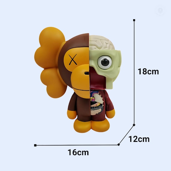 KAWS Anatomy Figures KAWS Decorative Hypebeast Figures Bape KAWS Anatomy Figures KAWS Decorative Hypebeast Figures Bape