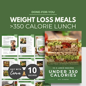 Comidas de 350 calorías, Recetario DFY, Plantilla de libro electrónico de Canva, Recursos de coaching de salud, PLR de nutrición saludable, Libro de cocina para bajar de peso, Preparación de comidas