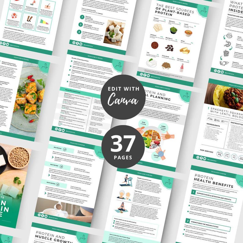 May include: A digital guide with 37 pages of information about plant-based protein, including recipes, meal planning, and health benefits. The guide is titled "Protein and Meal Planning" and features a green and white color scheme with illustrations of food and exercise.