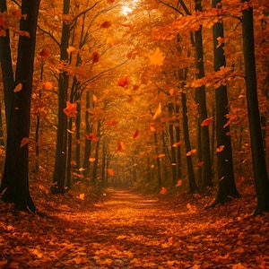 Autumn Forest Path Poster Set – Fall Foliage Digital Art Prints