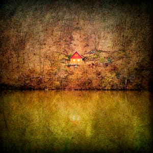 Landscape photography, Cabin decor, Autumn Photography, Enchanted forest, Yellow and mustard decor, Geometric, Triangle image 1