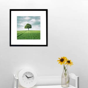 Green tree photography, French countryside, Green field, Nature print, Spring photography, Tree print, Landscape photography image 2
