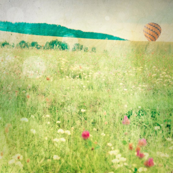 Hot Air Balloon,floral wall decor,spring print,flower field,nature print,air balloon print,landscape photograph,air balloon,balloon print