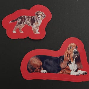 HUNDE-Aufkleber (CVI freundlich) Premium Vinyl wasserdicht