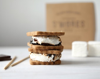S'mores Kit with gourmet marshmallows, DIY kit, food gift