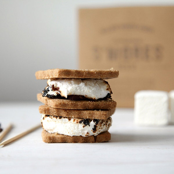 Kit S'mores con malvaviscos gourmet, kit de bricolaje, regalo de comida