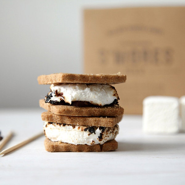 S'mores Kit with gourmet marshmallows, DIY kit, food gift