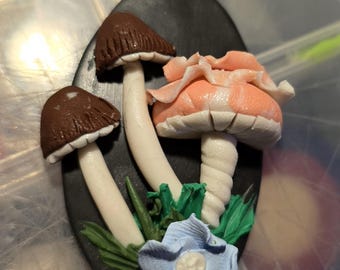 Escena de hongos