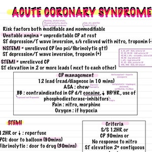CCRN 2024 Study Guide