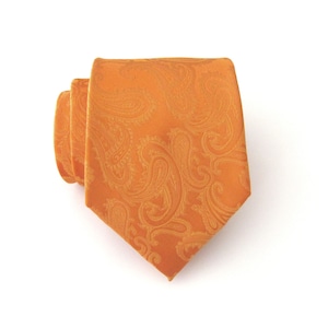 Mens Tie. Burnt Orange Paisley Mens Necktie with Matching Pocket Square Option