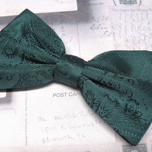 Papillon da uomo Dark Forest Juniper Green Paisley con opzione fazzoletto da taschino abbinato