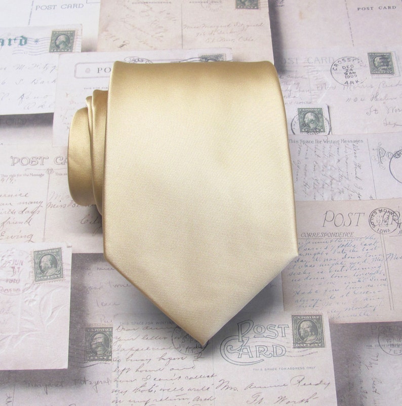 Mens Ties Champagne Necktie With Matching Pocket Square Handkerchief Option image 1