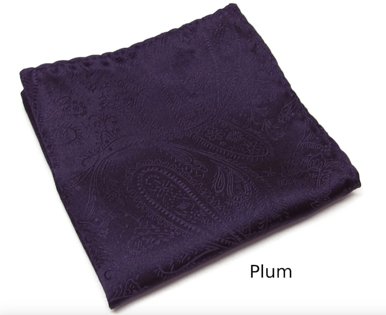 May include: A plum-coloured paisley pocket square. The square is folded, displaying a detailed, repeating pattern. The fabric has a slight sheen. The word "Plum" is written in white at the bottom of the image.
