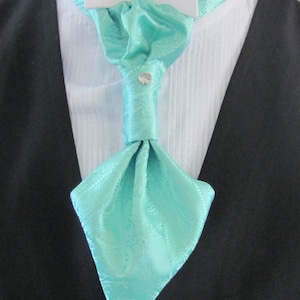 Cravatta Ascot da uomo con motivo Paisley verde menta, pre-annodata, con penna a sfera in cristallo, Ascot formale