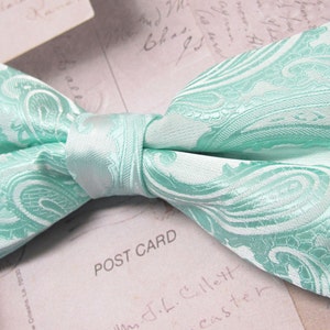 Set papillon e fazzoletto da taschino pre-annodati verde menta