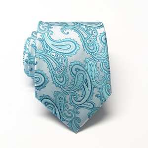 May include: A light blue tie with a paisley pattern.