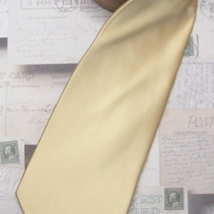 Mens Ties Champagne Necktie With Matching Pocket Square Handkerchief Option image 2