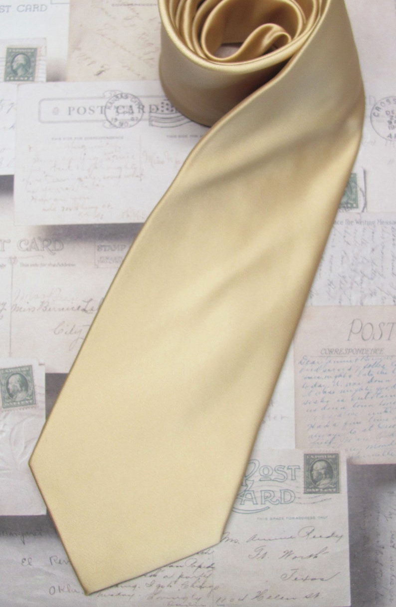 Mens Ties Champagne Necktie With Matching Pocket Square Handkerchief Option image 2