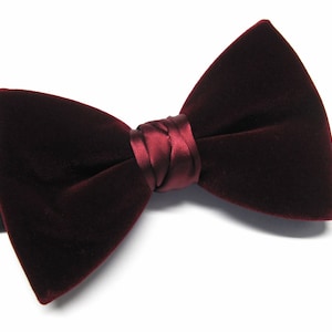 May include: A burgundy velvet bow tie with a satin knot.