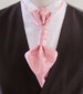 Mens Pink Paisley Ascot Cravat Pre Tied Mens Ascot With Crystal Stick Pin Formal Ascot 