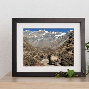 Yak print | Himalayan wildlife | Landscape wall art | Mountain photography | Adventure travel photography | Mountain print | Nepal print