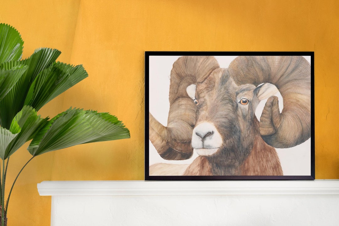 Hand-drawn Ram Illustration | Nature Wall Art | Animal Art Print | Big ...
