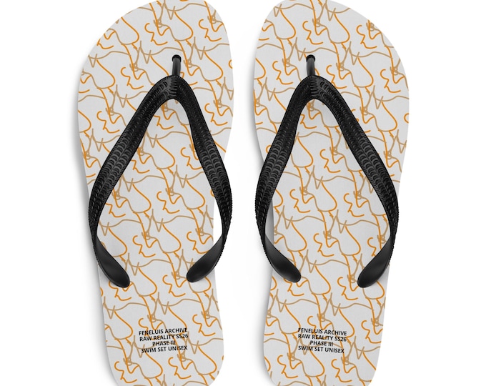 Flip-Flops (PH III)