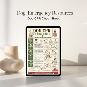 Anleitung zur Hunde-HLW, druckbare PDF-Kurzanleitung im A4-Format