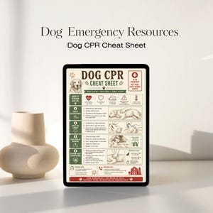 Dog CPR Cheat Sheet | Canine Emergency First Aid Guide (PDF, A4)
