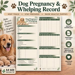 Puede incluir: Un documento imprimible en tamaño A4 titulado Dog Pregnancy & Whelping Record que incluye secciones para información de la madre y el padre, detalles de cría, hitos del embarazo, lista de verificación, registro de parto y seguimiento de cachorros.
